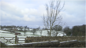 Panel in the snow