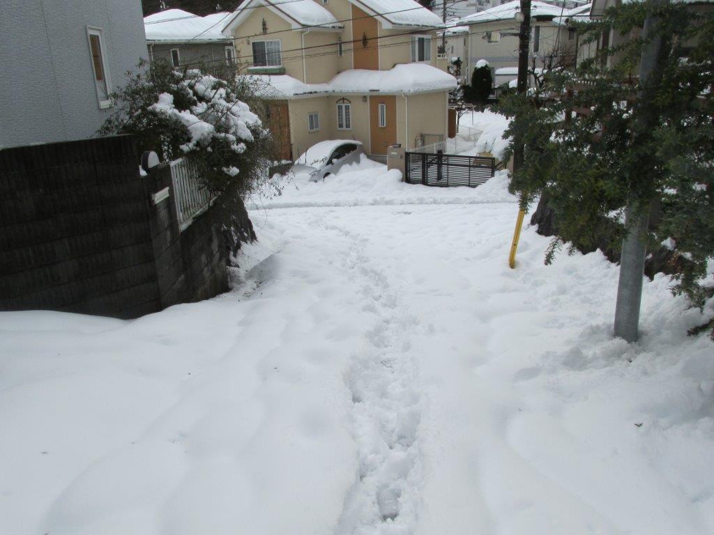 japan snow 2