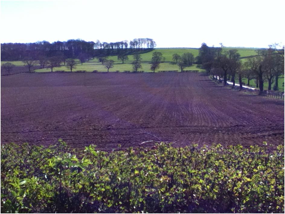 ploughed field